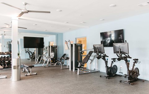 A gym with a variety of exercise equipment including treadmills, stationary bikes, and weight machines.