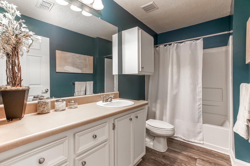 Luxurious Bathroom at Monterey Village, Georgia, 30236