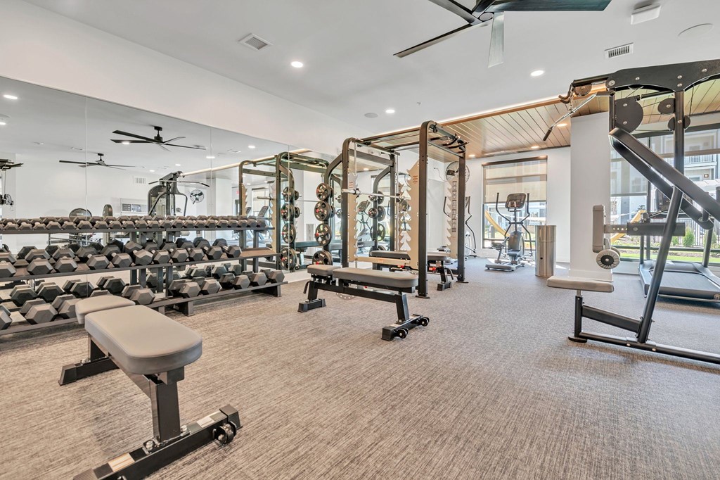 A gym with a variety of equipment including weights and a bench press.