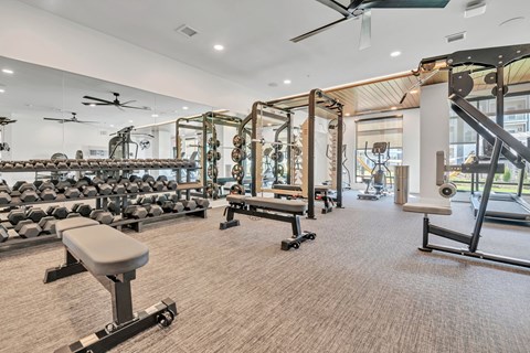 A gym with a variety of equipment including weights and a bench press.