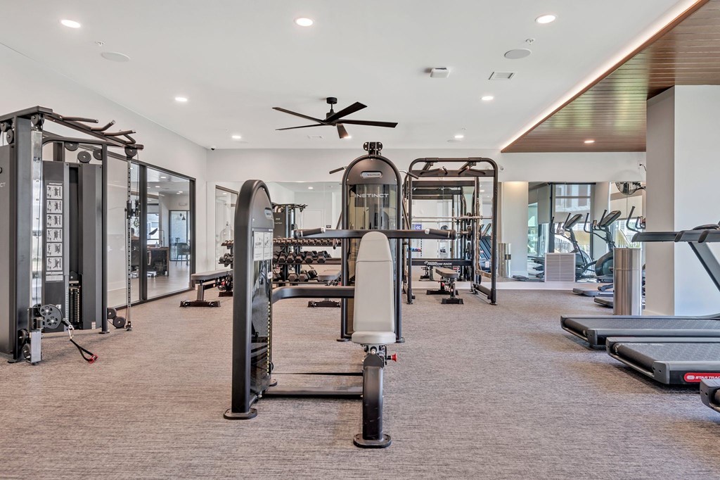 A spacious gym with a variety of equipment including treadmills, weight machines, and a ceiling fan.