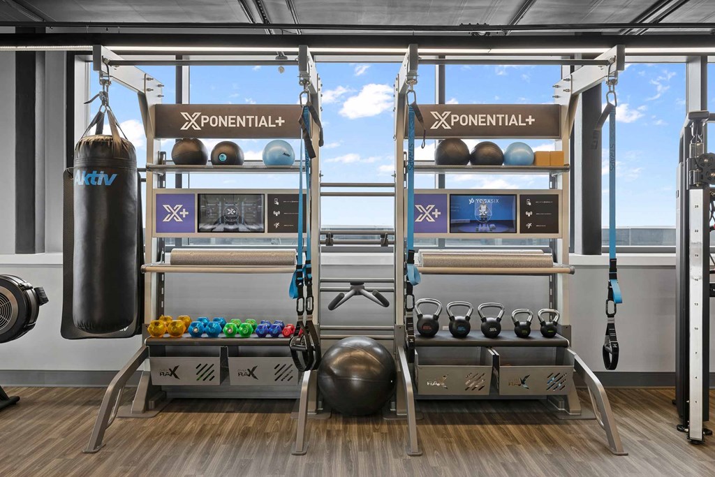 A gym with a punching bag and a row of kettle bells.
