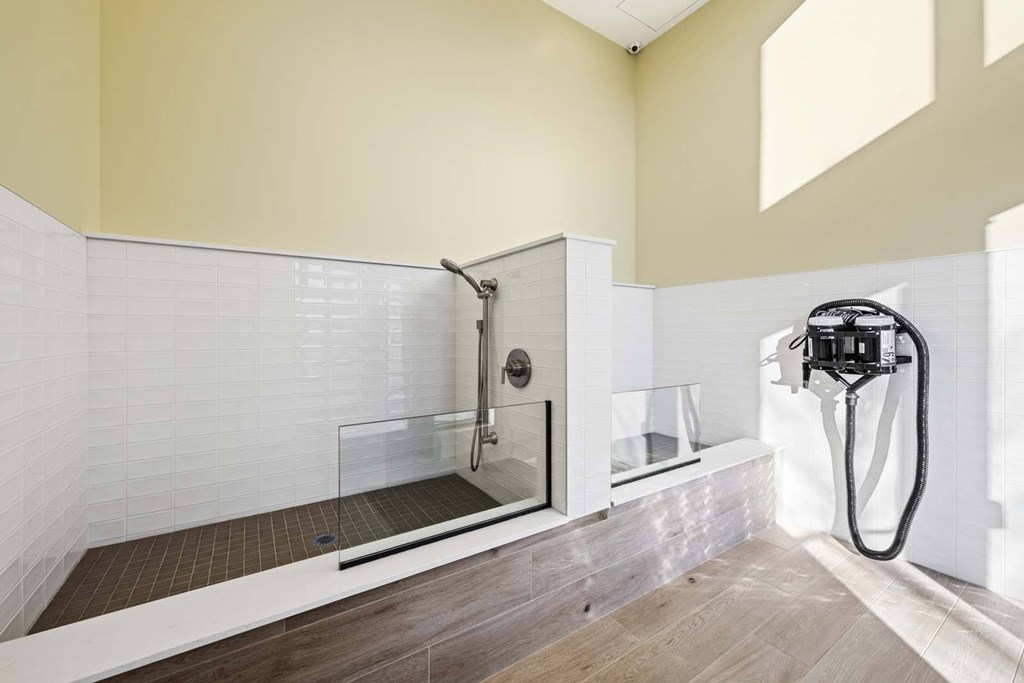 A modern bathroom with a walk-in shower and a glass door.