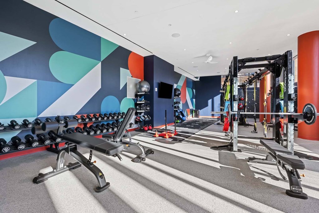 A gym with a row of exercise machines and a wall of exercise balls.