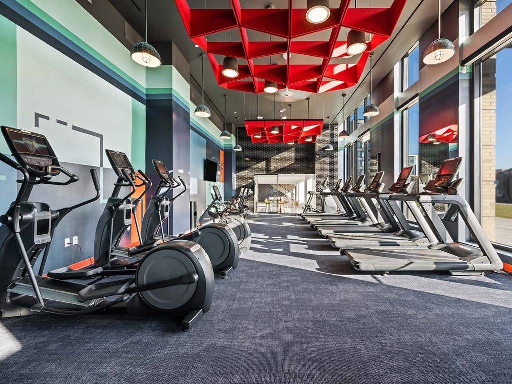A gym with treadmills and elliptical machines.