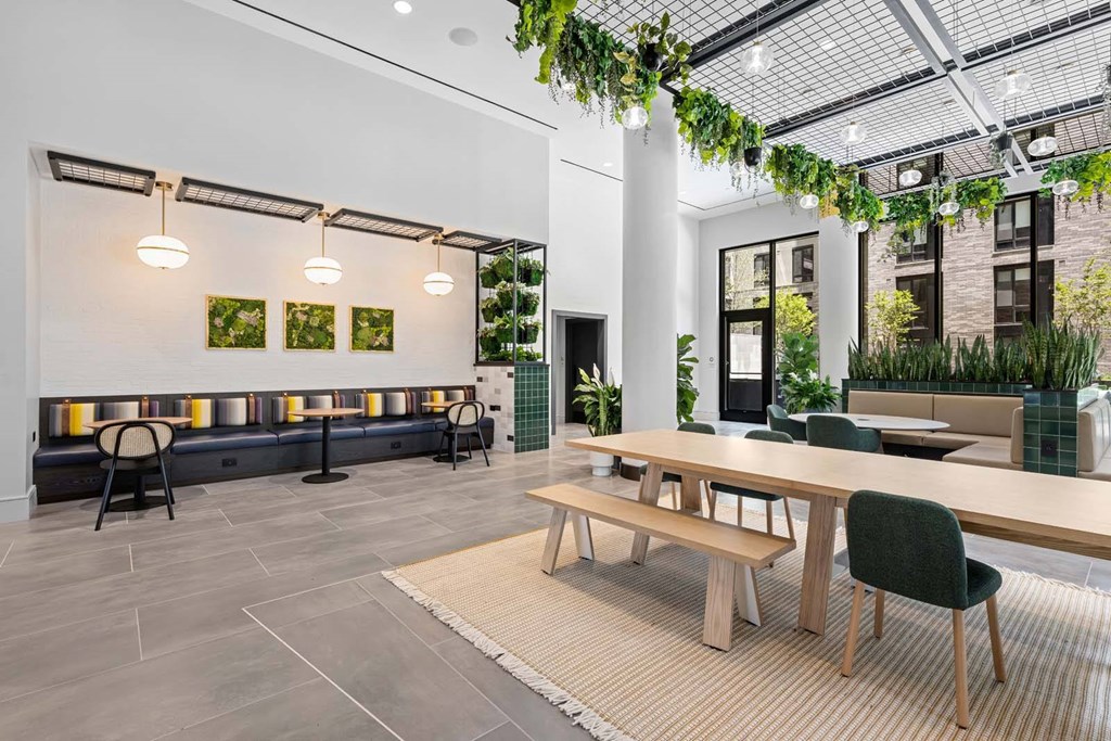 A modern office space with a long wooden table and chairs, a bench, and a green plant hanging from the ceiling.