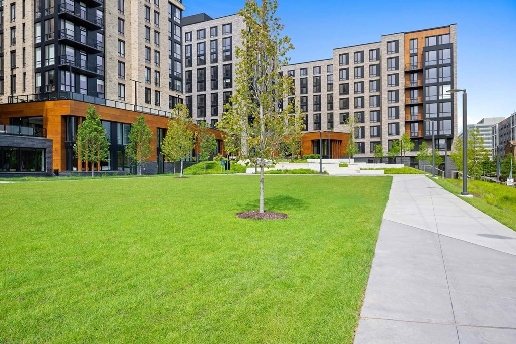 A tree in a grassy area in front of apartment buildings.