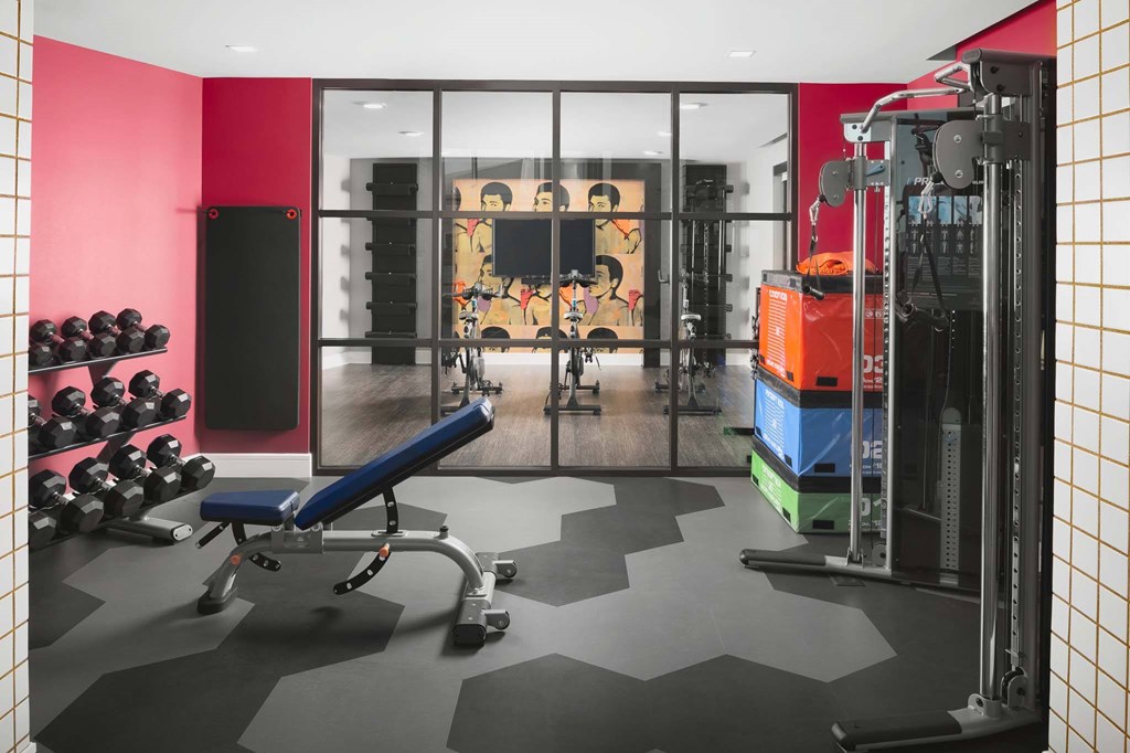 A gym with a bench, weights, and a mirror.