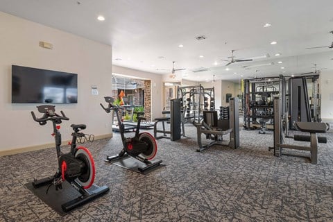 A gym with a television, exercise bikes, and weightlifting equipment.