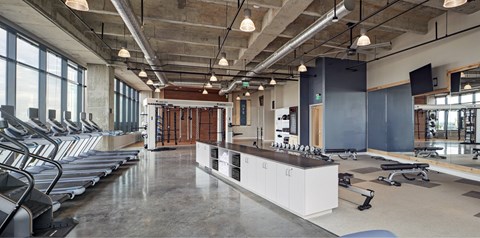 A gym with treadmills, weights and exercise equipment.