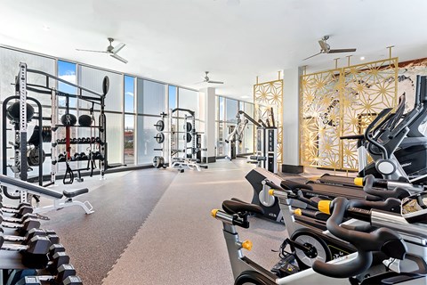 A gym with treadmills, weights, and exercise equipment.