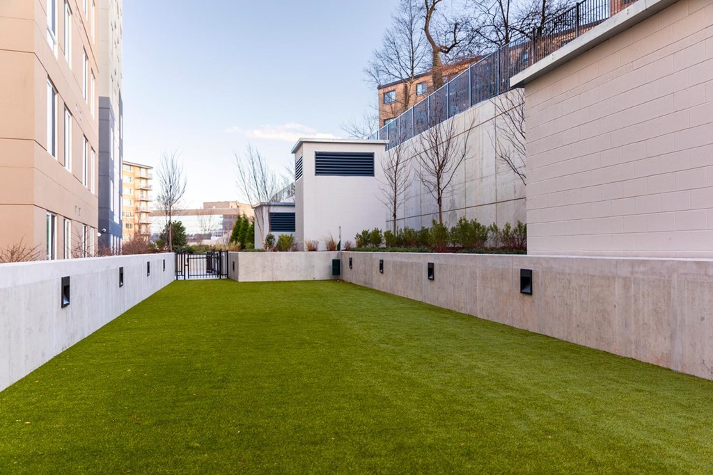 A small grassy area in the middle of a city.