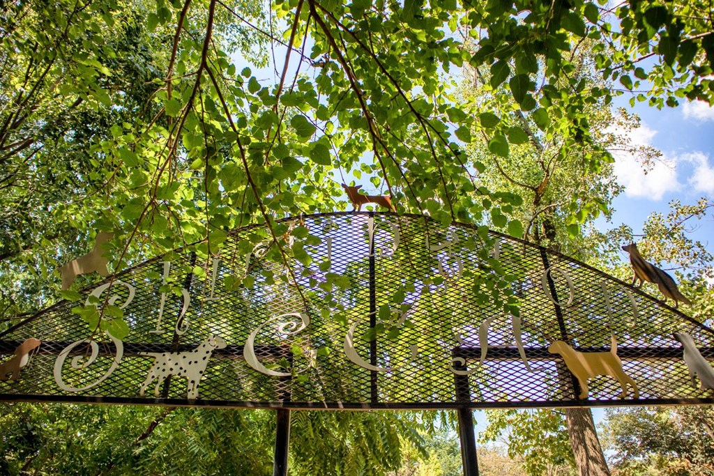 A metal fence with a decorative design is partially obscured by green leaves.