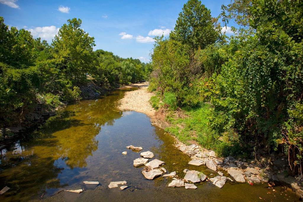 A river flows through a green forest.