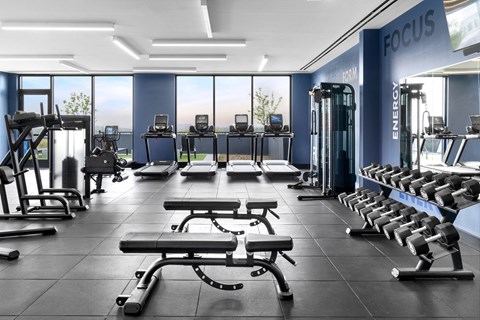 A gym with a variety of equipment including treadmills, weights, and exercise machines.