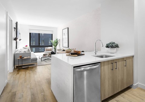 A modern kitchen with a stainless steel dishwasher and wooden flooring.