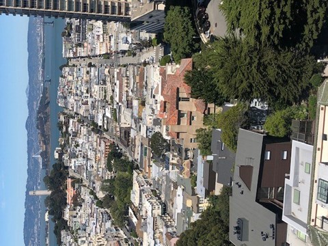 A cityscape with buildings of various heights and a bridge in the background.
