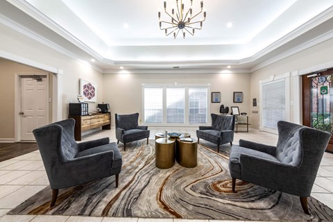 A living room with grey armchairs and a large rug.