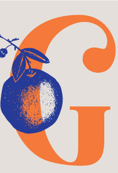 A graphic with a blue and orange design and the letter "G" in orange.