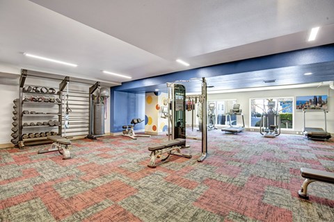 A gym with a variety of equipment including weights and benches.