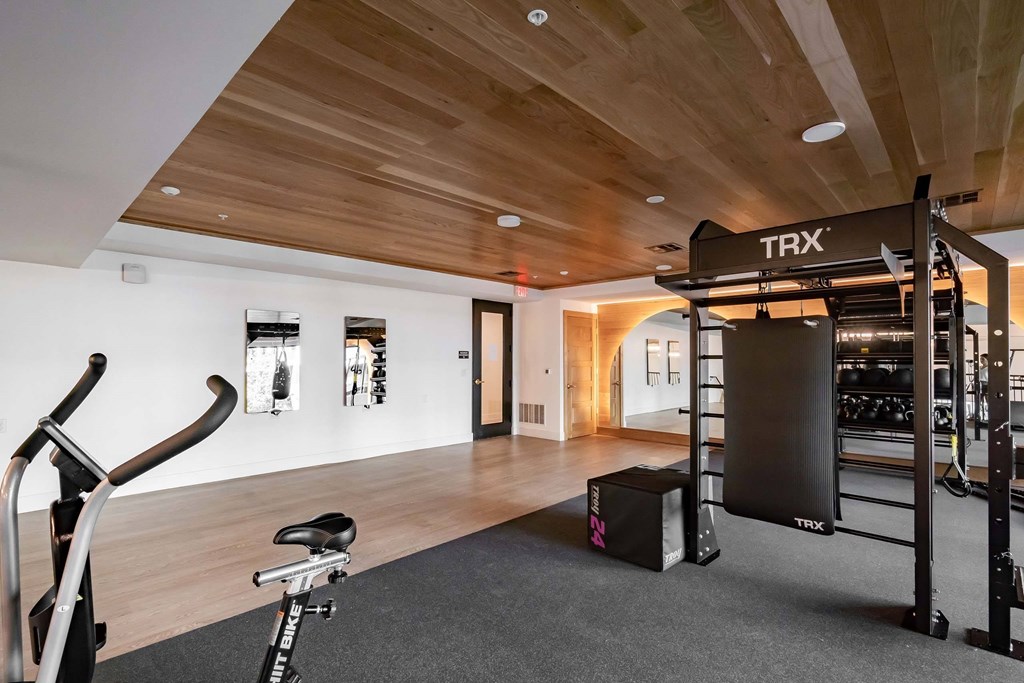 A TRX suspension trainer is hanging from the ceiling in a gym.