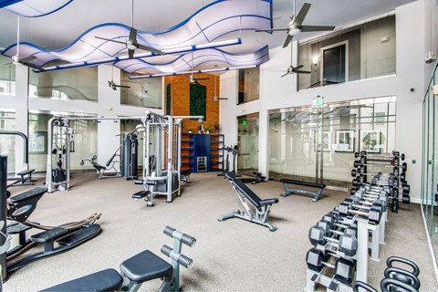 A gym with a variety of equipment including weights and benches.