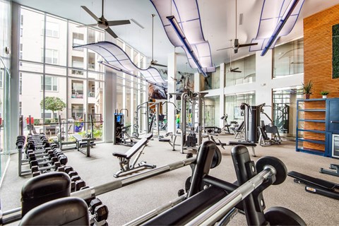 A gym with a variety of equipment including weights and cardio machines.
