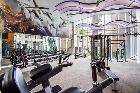 A gym with a variety of equipment including weights and machines.