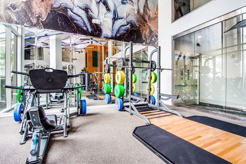 A gym with a variety of equipment including a leg press machine, a bench press, and a rowing machine.