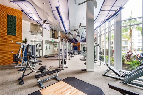 A gym with a variety of equipment including treadmills, weights, and exercise machines.
