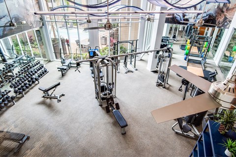 A gym with a variety of equipment including weights and cardio machines.