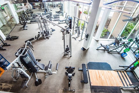 A gym with a variety of exercise equipment.
