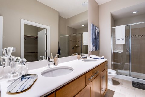 A bathroom with a sink, mirror, and a shower.
