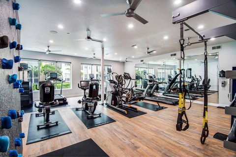 A gym with a variety of equipment including treadmills, weights, and a climbing wall.