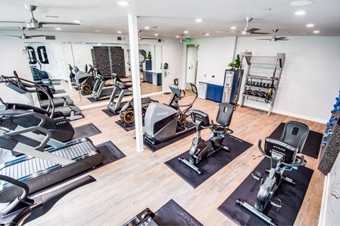 A gym with a variety of exercise equipment including treadmills, stationary bikes, and weight machines.