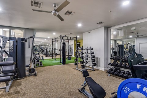 A well-equipped gym with a variety of exercise machines and weights.