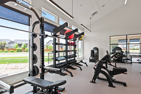 A gym with a variety of equipment including a squat rack, bench, and weights.