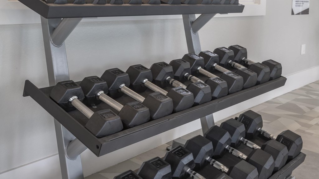 A set of dumbbells are on a rack in a gym.