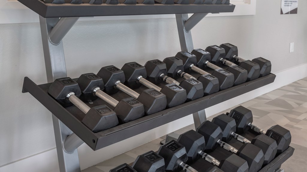 A rack of black dumbbells in a gym.