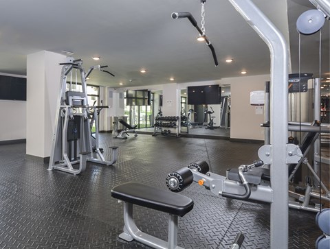A gym with a variety of equipment including a treadmill, weights, and a bench.