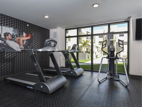 A treadmill and a stationary bike are in a room with a large window.