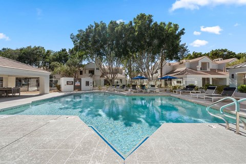 A large swimming pool with a blue line in the middle.