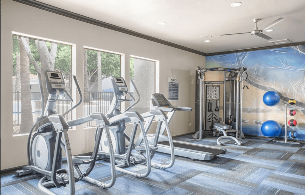 A gym with exercise equipment and a wall mural.