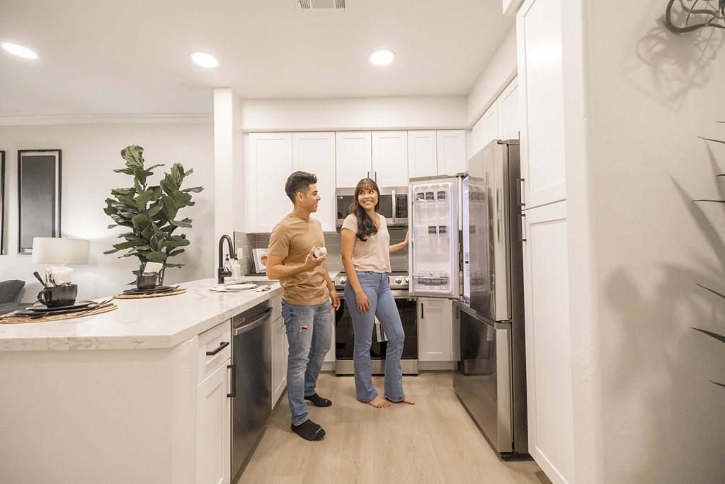 A man and woman are standing in a modern kitchen.
