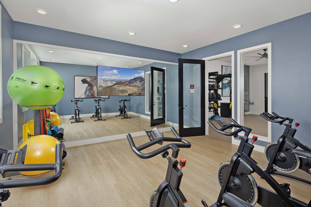 A gym with exercise equipment and a view of a mountain landscape on the wall.