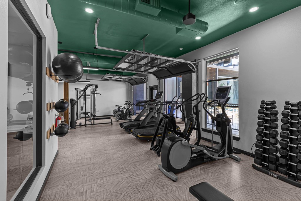A gym with a variety of equipment including treadmills, weights, and a rowing machine.