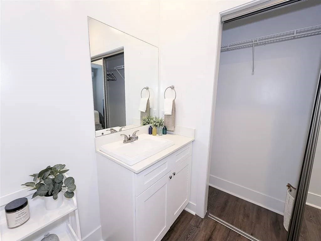 A white bathroom with a sink, mirror, and a plant.