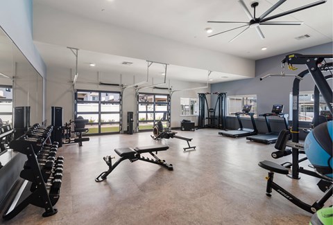 A spacious gym with a variety of equipment including treadmills, weights, and exercise balls.