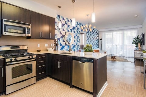 A modern kitchen with a stainless steel dishwasher and a black and white patterned backsplash.