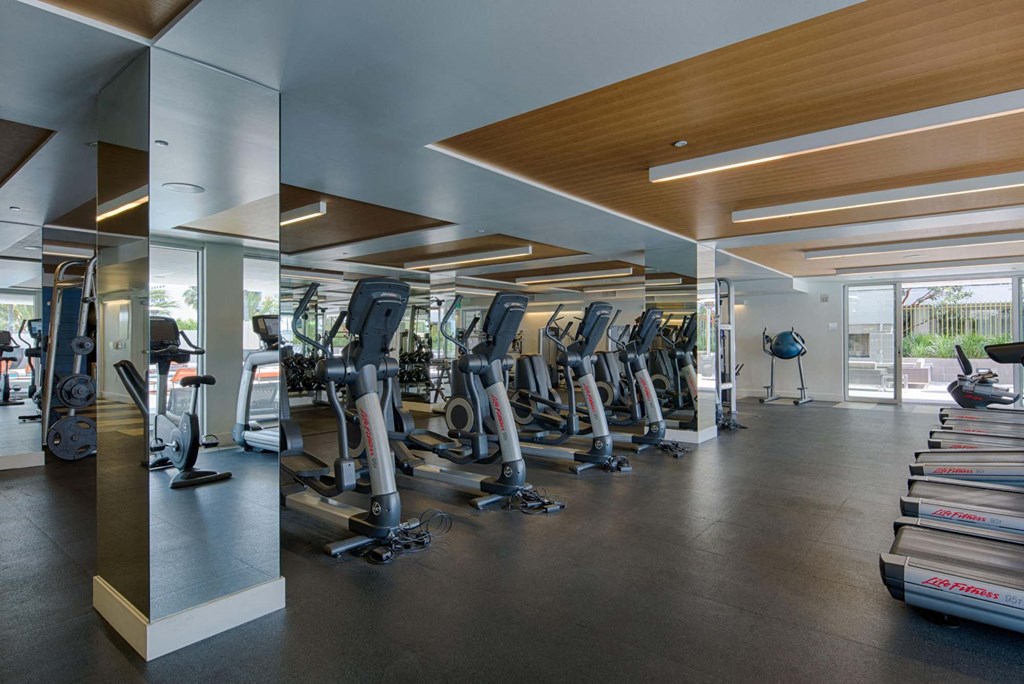 A gym with treadmills and other cardio equipment.